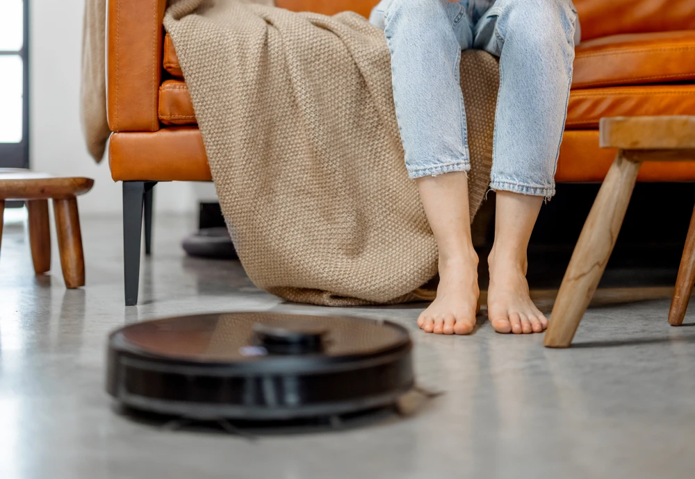 robot vacuum cleaner with wet mop